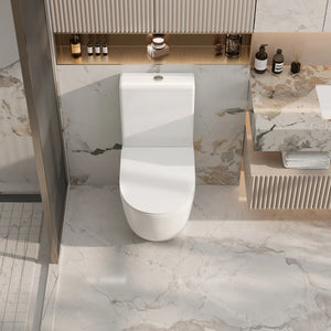 Cera Back-to-Wall Toilet Suite CP-T3