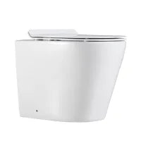 Agena R&T Inwall Floor Toilet Suite G30032+LK-AG104WFP