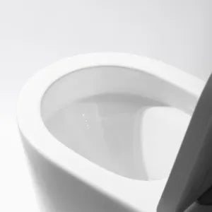Acadia Full Rimless Wall Faced Toilet Suite