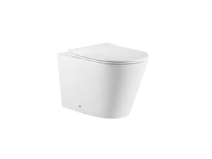 Agena Rimless Wall Faced Floor Pan LK-AG022WFP