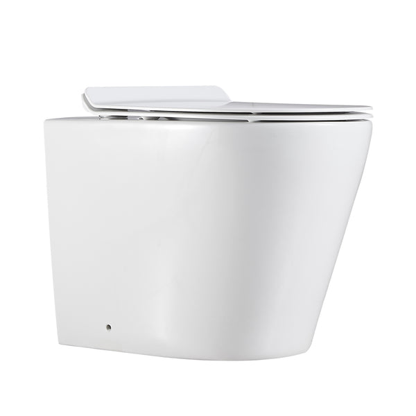 Agena R&T Lower Counter Inwall Floor Toilet Suite G3005AB+ LK-AG104WFP
