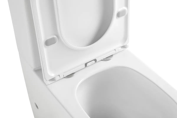 Procida Tornado Rimless Toilet Suite