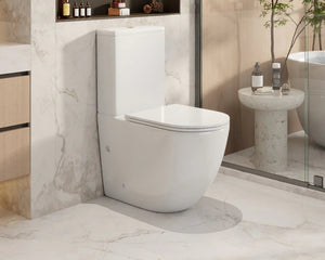 Norton Back-to-Wall Toilet Suite