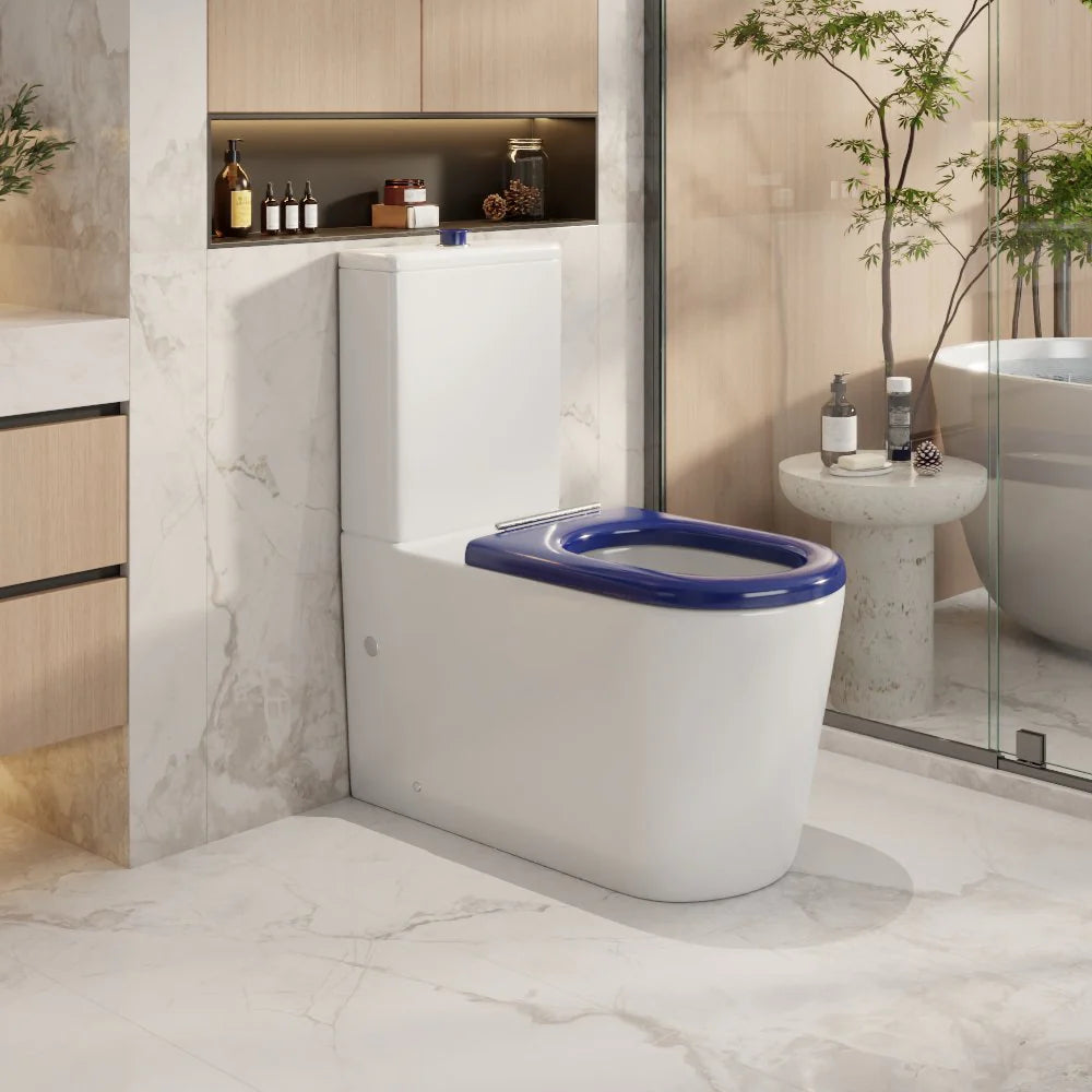 Pani Care-Accessible Back-to-Wall Toilet