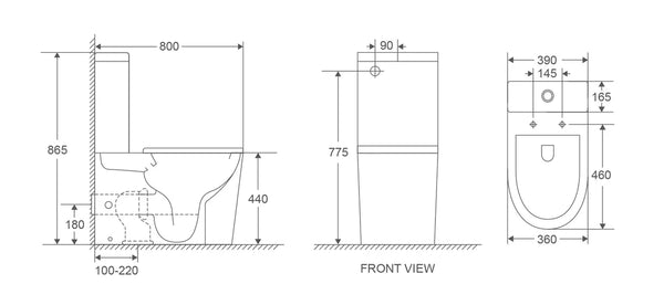Pani Care-Accessible Back-to-Wall Toilet