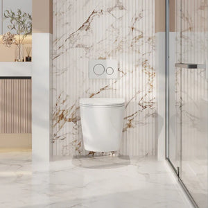 Raul66 Wall-Hung Pan