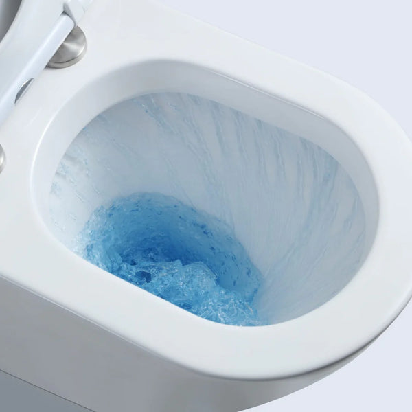 Pani Back-to-Wall Toilet Suite